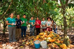 Asociatividad Miskicha