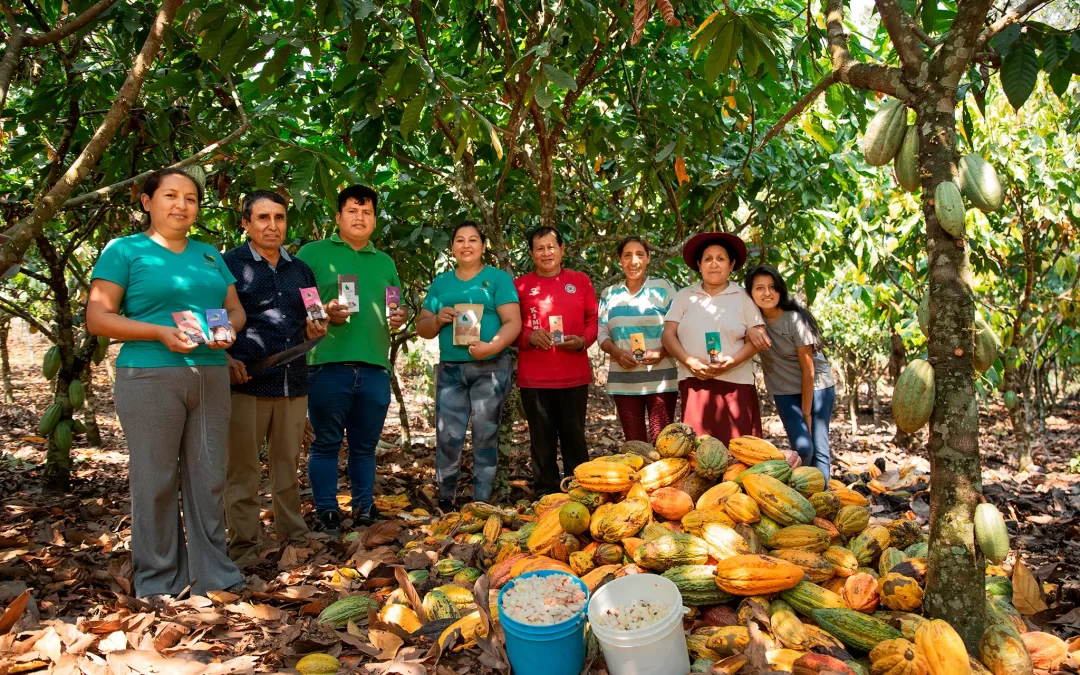 Asociatividad Miskicha